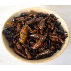 Nagaland grasshopper pickle 50gm - Kheti Culture