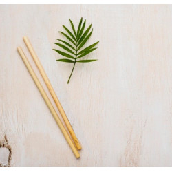 Bamboo Eco-friendly reusable straw set of 2 - Indigi Crafts