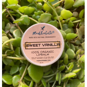Sweet Vanilla Lipbalm 10gm - MadhabiGi